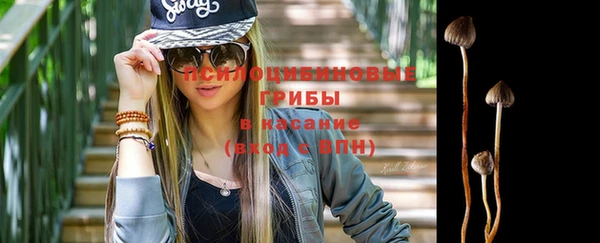 ешки Тайга