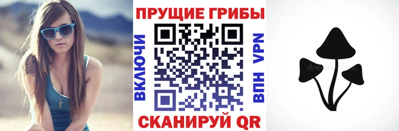 мега зеркало  наркошоп  Павлово  Галлюциногенные грибы MAGIC MUSHROOMS 